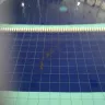 Virgin Active South Africa - swimming pool - Photo 1