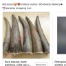 AliExpress - illegal animal products