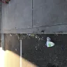 Family Dollar - trash outside - Photo 2