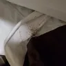 WoodSprings Suites - an infestation of bed bugs in the room.