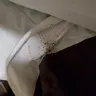 WoodSprings Suites - an infestation of bed bugs in the room. - Photo 1