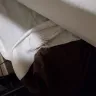 WoodSprings Suites - an infestation of bed bugs in the room. - Photo 2