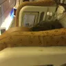 Air India - flight service and cost - Photo 6