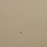 Americas Best Value Inn - roaches - Photo 4