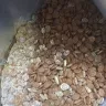 Carrefour - mouldy dog food