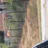 Family Dollar - trash and overgrown weeds - Photo 1