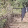Family Dollar - trash and overgrown weeds - Photo 11