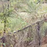 Family Dollar - trash and overgrown weeds - Photo 12