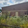 Family Dollar - trash and overgrown weeds - Photo 7