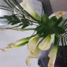 Bloomex - anniversary flowers - Photo 1