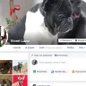 Facebook - dog breeder - Photo 4