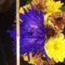 Weis Markets - flowers - Photo 1