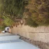 HomeAway - poor description of property I rented - Photo 6