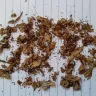 Imperial Tobacco Australia - 50 gram white ox superior dark blend - Photo 1