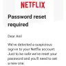 Netflix - unauthorized transaction - Photo 1