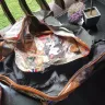 Air India - loss of valuable items from baggage - Photo 2