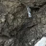 Comcast / Xfinity - Phone/internet/cable - Photo 1