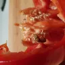 Coles Supermarkets Australia - caterpillar in red capsicum