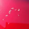 Ford - paint - Photo 1