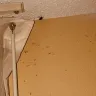 Baymont Inn & Suites - hotel room and service - Photo 3