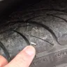 Les Schwab Tire Center - screw in tire