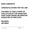 Air India - about the job