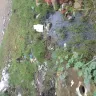 Avadi Municipality - draining sewage water in our place - Photo 3
