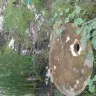 Avadi Municipality - draining sewage water in our place - Photo 2