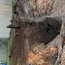 Greystar Real Estate Partners - kapilina management, resident services and maintenance - Photo 2