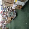 Dollar Tree - store and manager - Photo 3