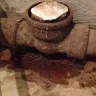 American Home Shield [AHS] - Leaking pipes