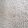 Stanley Steemer International - carpet are not clean
