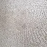 Stanley Steemer International - carpet are not clean - Photo 5