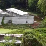 Avadi Municipality - water stagnation leading breeding of mosquito (dengue alert) - Photo 2