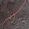 CenturyLink - centurylink's subcontractor cut my gas line - Photo 1