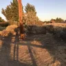 Southern California Edison [SCE] - edison easement fire hazard - Photo 3