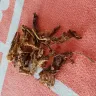 Imperial Tobacco Australia - riverstone premium rum blend - Photo 1