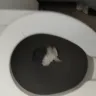 Air Arabia - dirtiness in the toilets on the seats - Photo 3