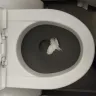 Air Arabia - dirtiness in the toilets on the seats - Photo 5