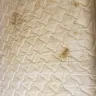 Motel 6 - bed bugs - Photo 8