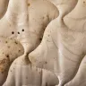 Motel 6 - bed bugs - Photo 7