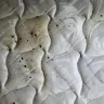 Motel 6 - bed bugs