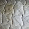 Motel 6 - bed bugs - Photo 1