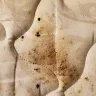 Motel 6 - bed bugs - Photo 4