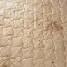 Motel 6 - bed bugs - Photo 2
