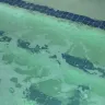 Gold's Gym - hot tub - Photo 2