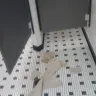 Steak 'n Shake - unsanitary restroom - Photo 2