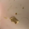 KFC - human hair in my kfc potpie!!! - Photo 1