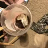 Taco Bell - bag in my drink. - Photo 1