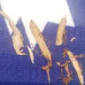 Imperial Tobacco Australia - jps blue 25 mg - Photo 1